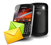 Bulk SMS for BlackBerry Mobile Phone