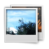 디지털 사진 복구 소프트웨어 