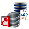 MS Access to MySQL Database Converter