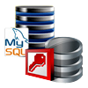 MySQL to MS Access Database Converter